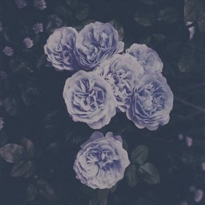 男女又爽❌又黄❌
